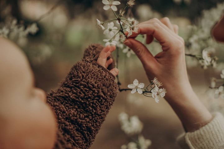 a baby's hand reaching for a flower on a tree